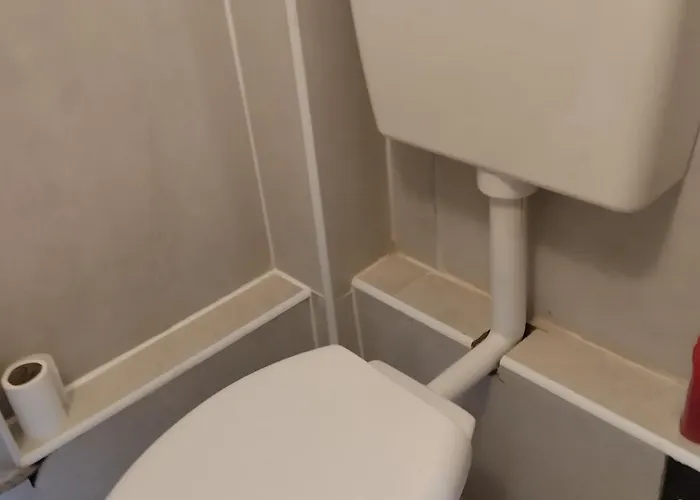 V Přírodě